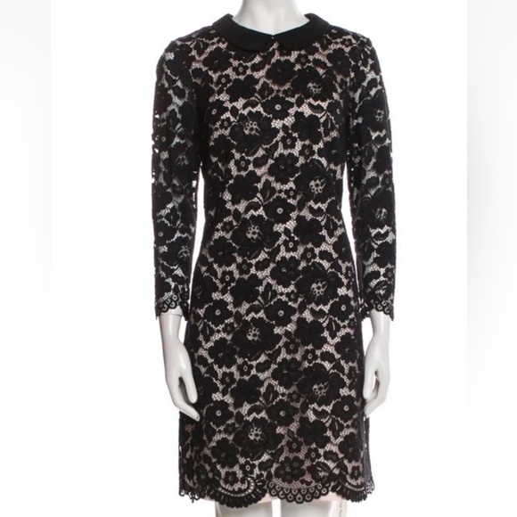Ted Baker Women Black Ameera Scallop Hem Lace Dress Peter Pan Collar US Size 10 - Picture 3 of 10
